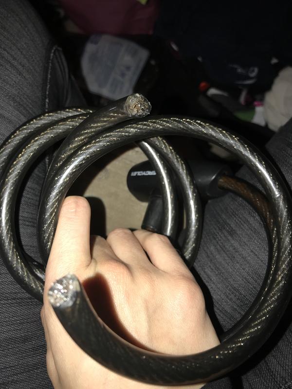 Photo - commentaire 1.