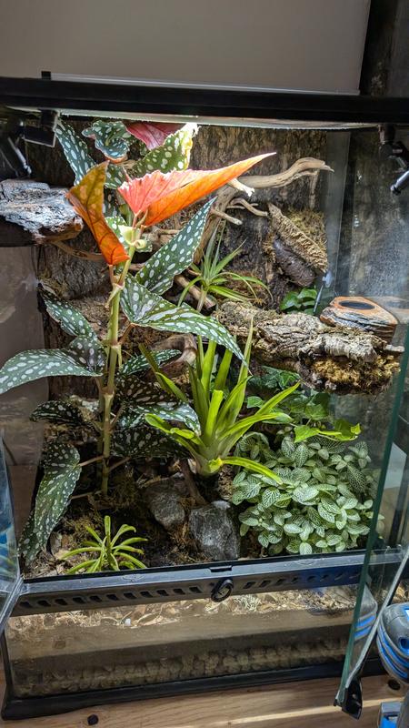 Vivarium example.