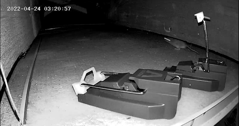 Three screenshots of the most at the trap the trap closing and the most running away the type step is in the corner