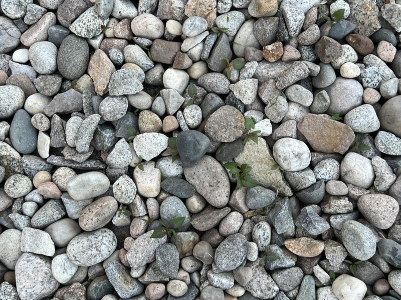 Photo - commentaire 1.