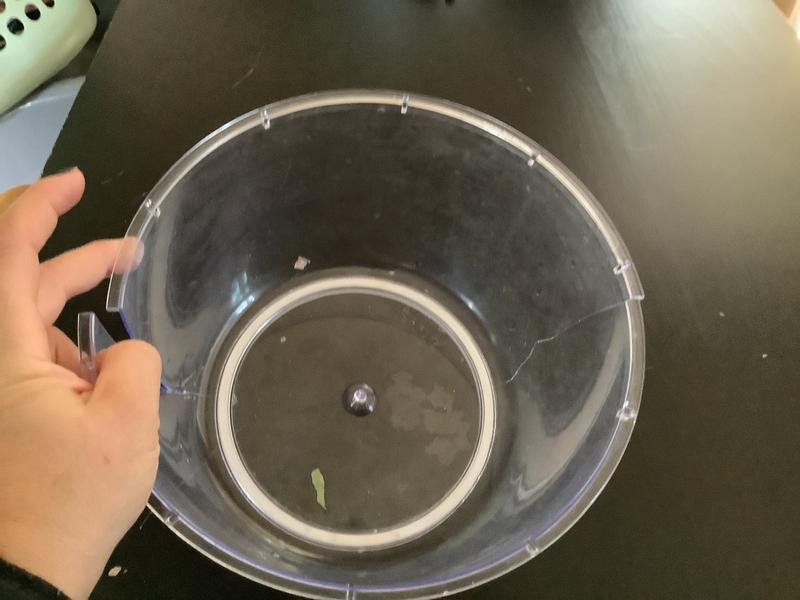 Photo - commentaire 2.