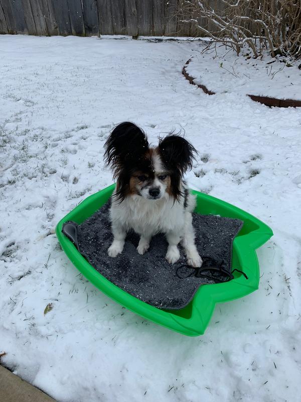 We bought this sled because one dog had surgery and was not allowed to walk for 2 weeks, this way he could go along while we walked his brother.  Slides so slick.