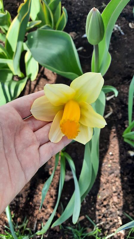 Photo - commentaire&nbsp;3.