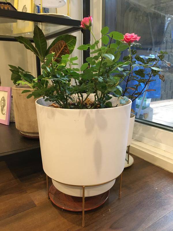 Photo - commentaire&nbsp;4.