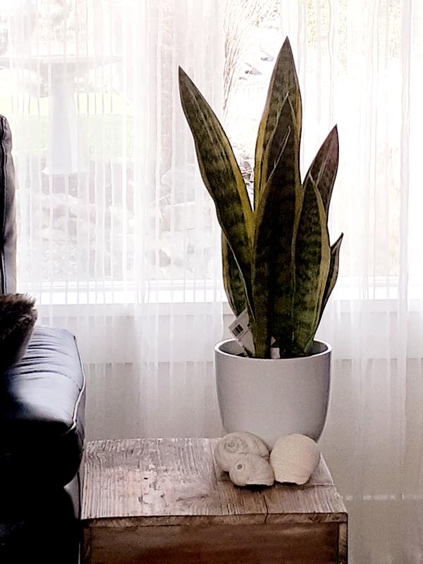 Photo - commentaire&nbsp;4.