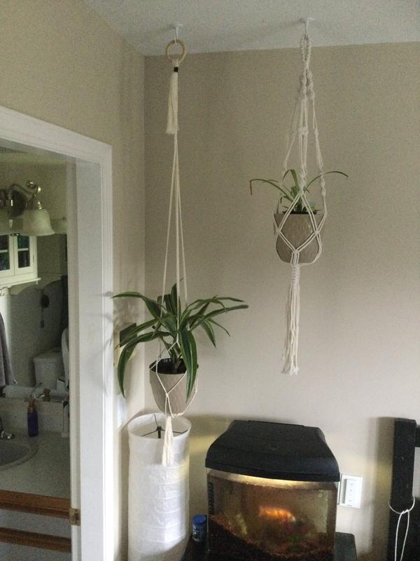 Photo - commentaire&nbsp;3.