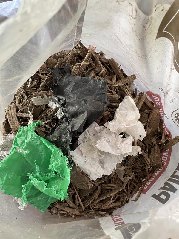 Photo - commentaire 2.