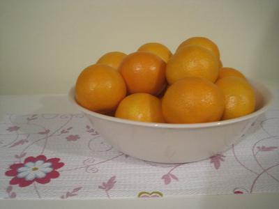 Grip Print Shelf Liner