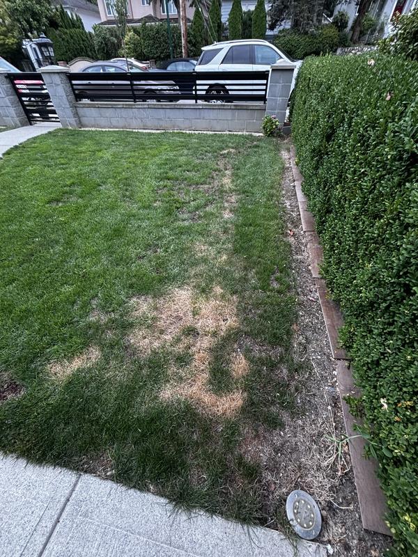 Photo - commentaire 2.