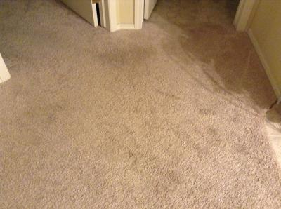 You can see stains left after 3 times use.