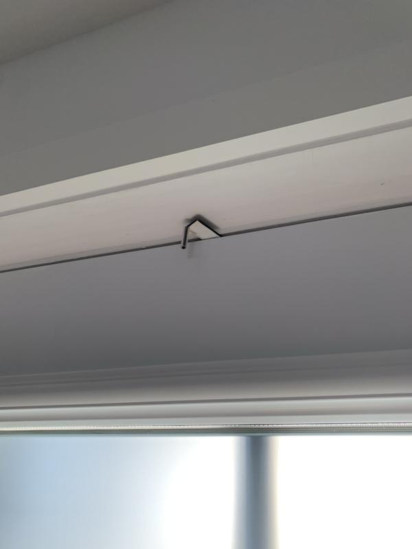 Initialement, il y avait 2 pattes !