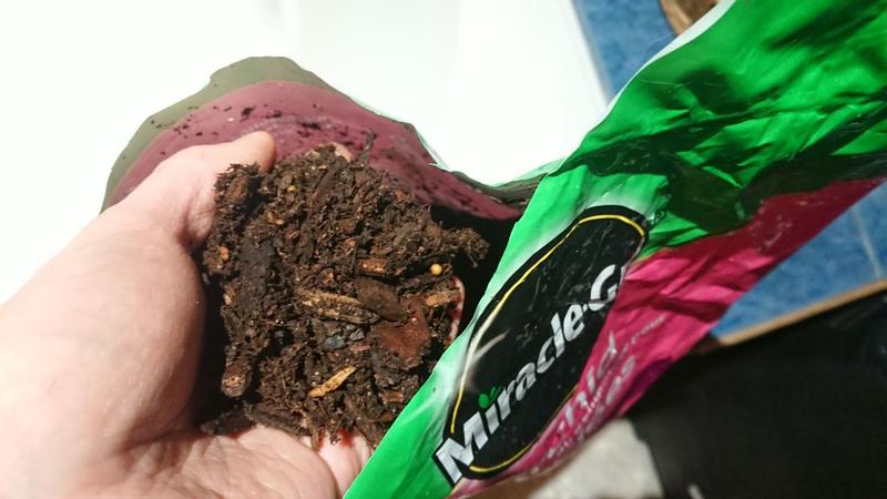 Review photo 4.