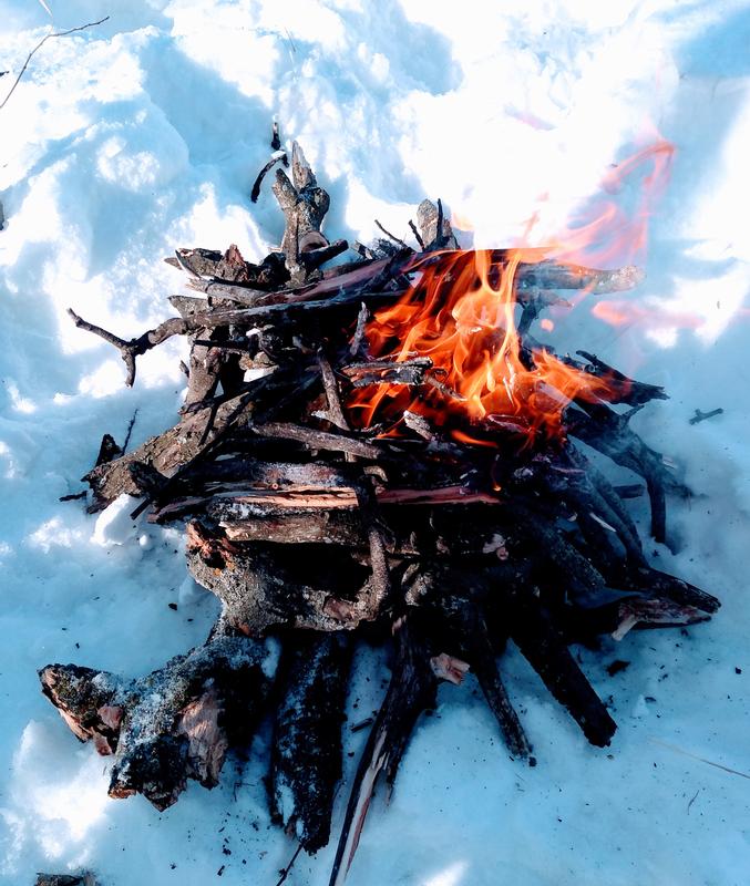 Photo - commentaire&nbsp;2.