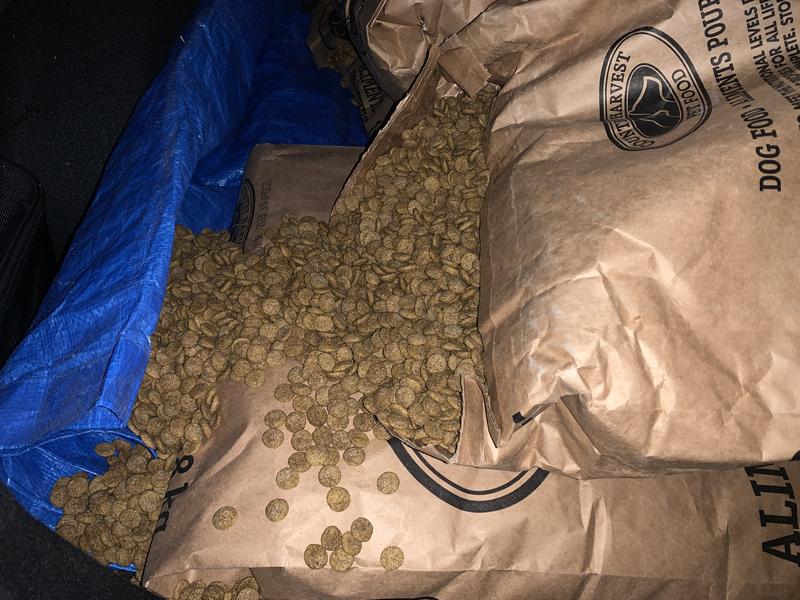 Photo - commentaire 8.