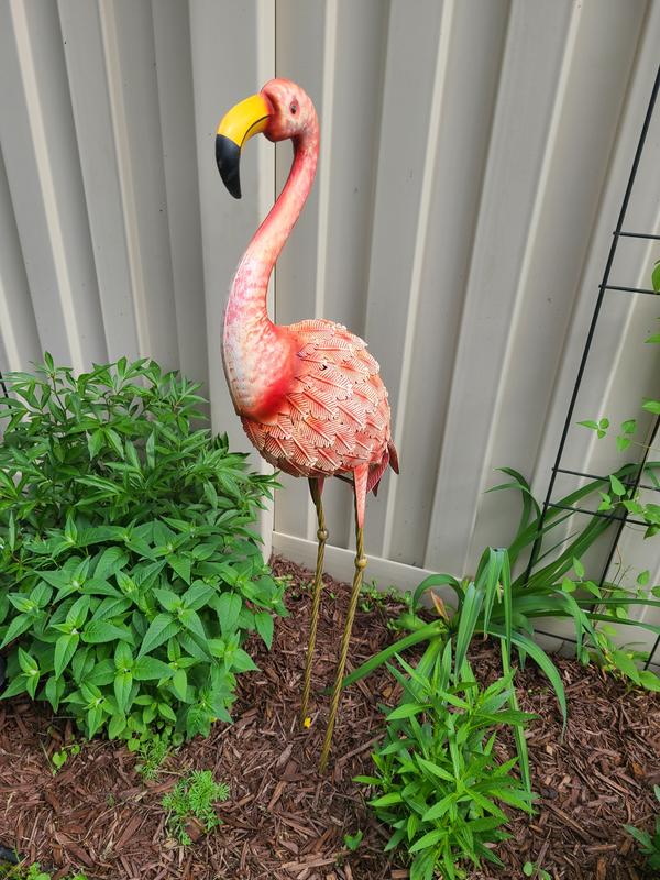 Photo - commentaire&nbsp;5.