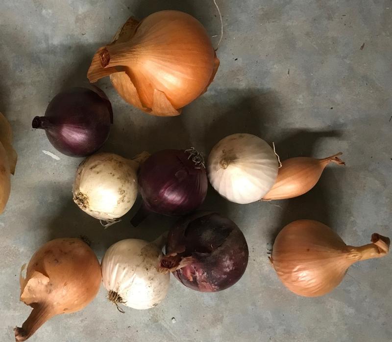 Photo - commentaire&nbsp;1.