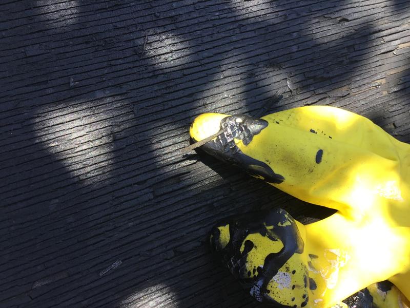 Photo - commentaire 3.