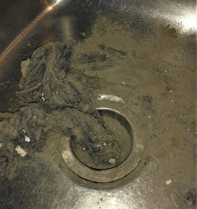 This came out of my rigs AFTER vacumming with my old vac. And it's just DUST; I have no pets!