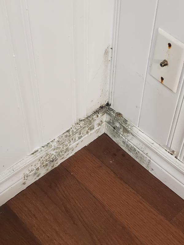 Photo - commentaire&nbsp;4.