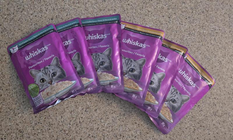 Photo - commentaire&nbsp;1.