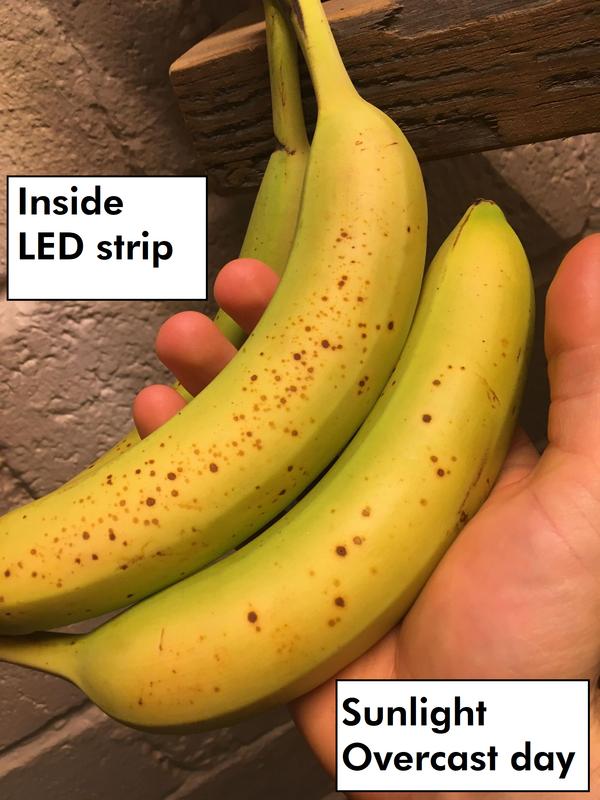 Photo - commentaire&nbsp;6.