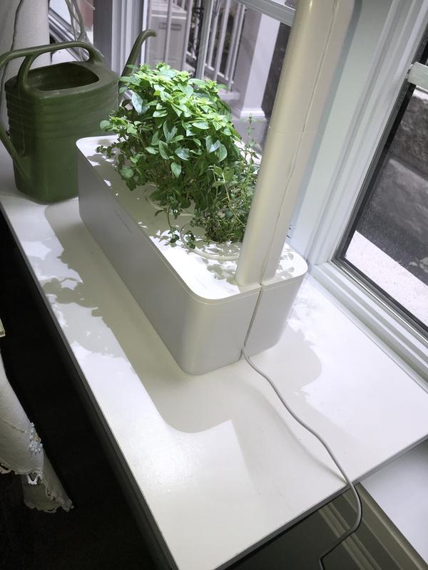 Shelf on window frame