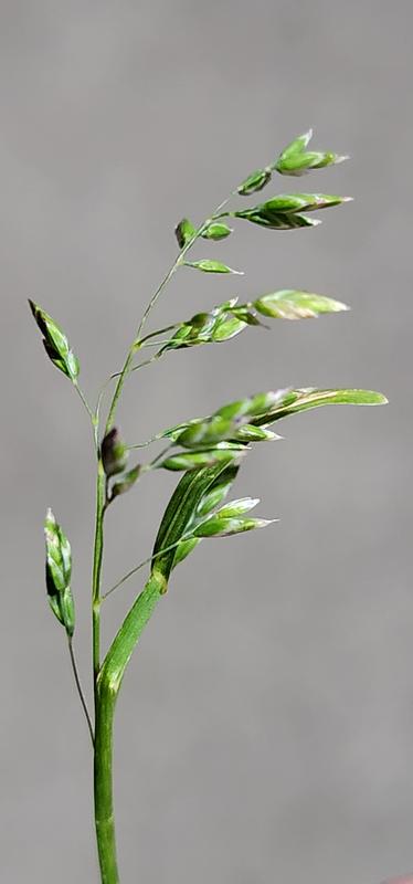 Photo - commentaire&nbsp;8.