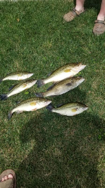 Photo - commentaire&nbsp;1.