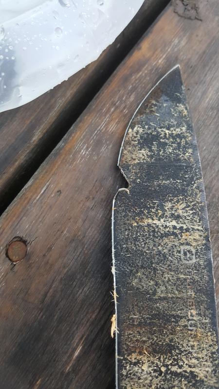 Photo - commentaire&nbsp;1.