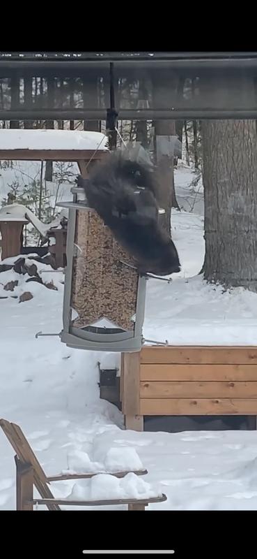 Photo - commentaire&nbsp;1.