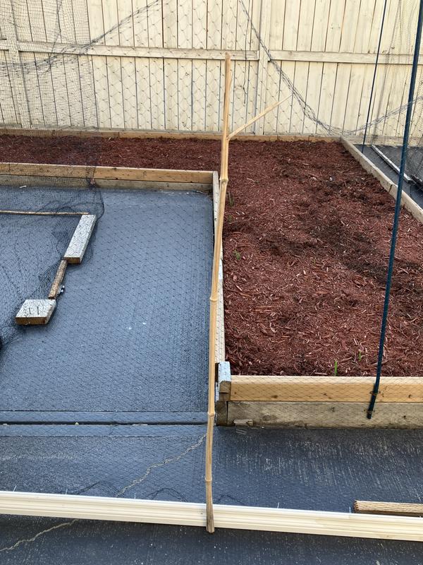 Photo - commentaire&nbsp;1.