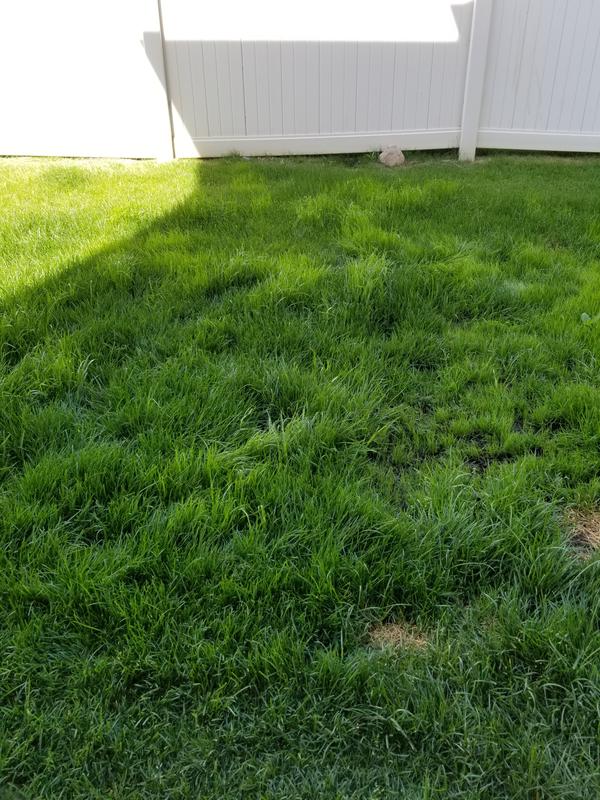 Photo - commentaire 2.