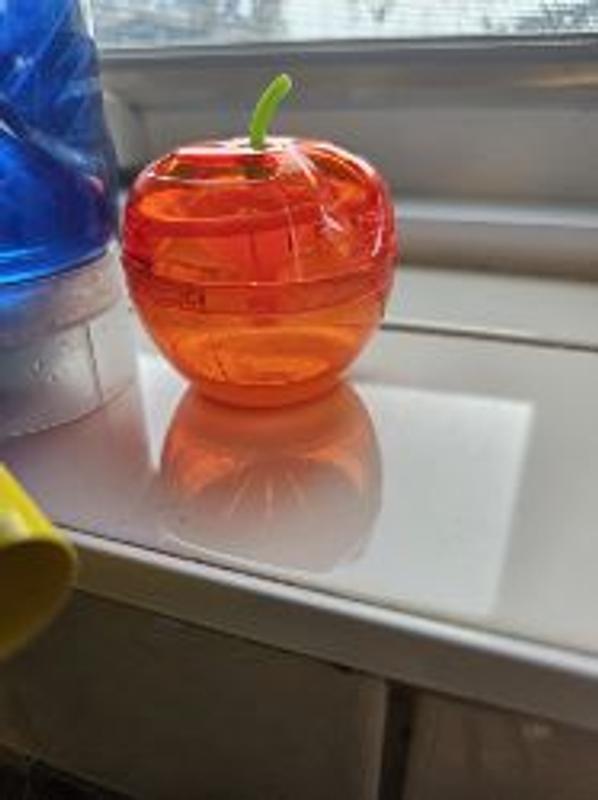 Photo - commentaire 1.