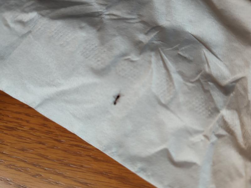 Photo - commentaire 1.