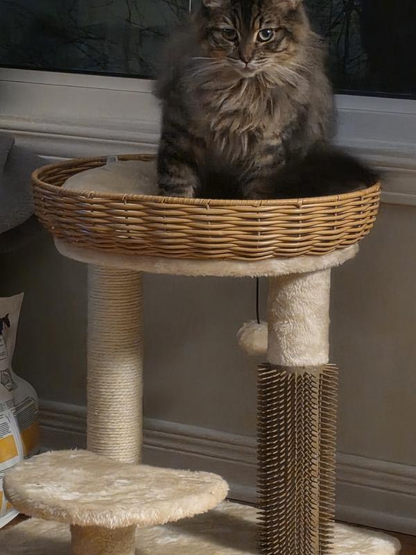 Photo - commentaire&nbsp;2.