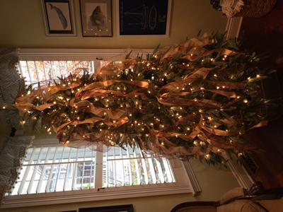 Photo - commentaire&nbsp;7.