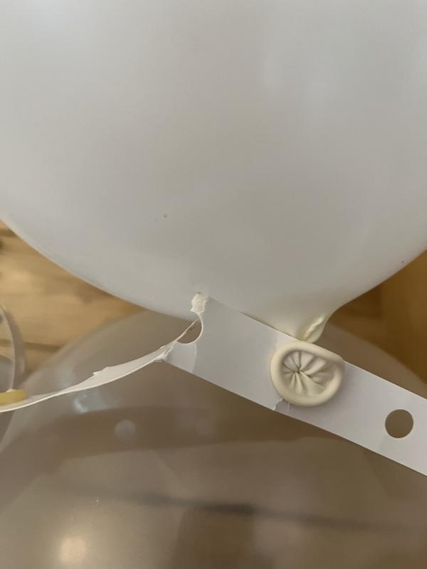 Photo - commentaire 2