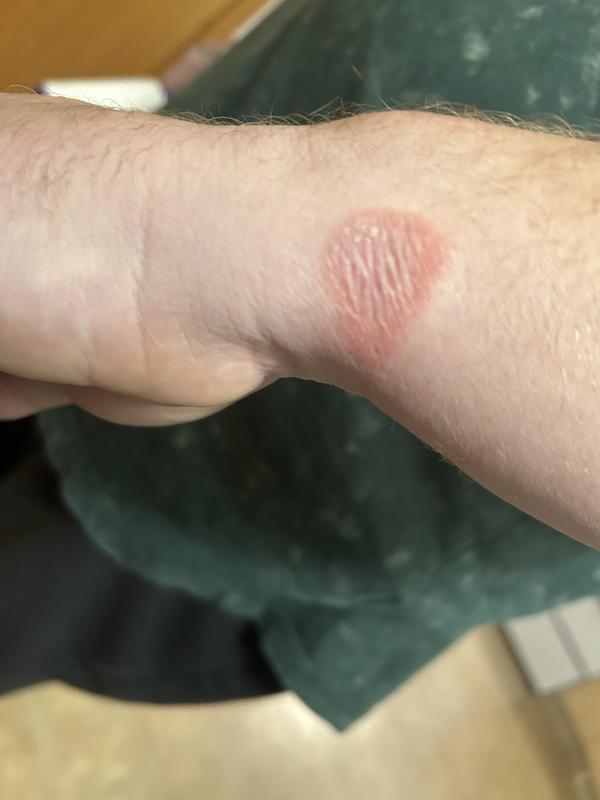 Photo - commentaire 4.