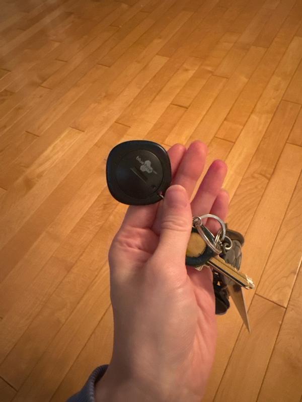 Photo - commentaire&nbsp;1.