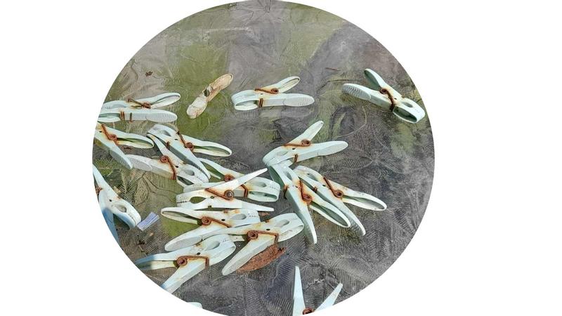 only unbroken clothespins  left