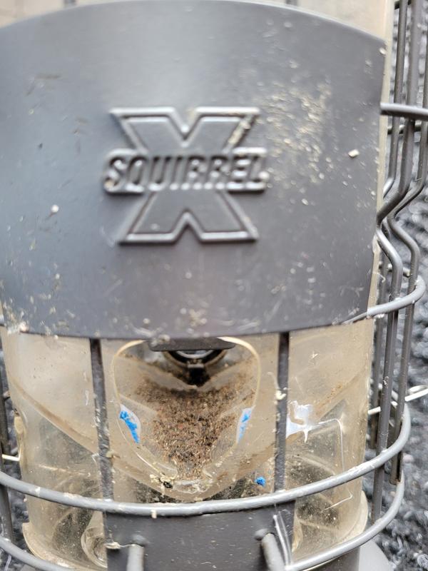 Photo - commentaire&nbsp;3.