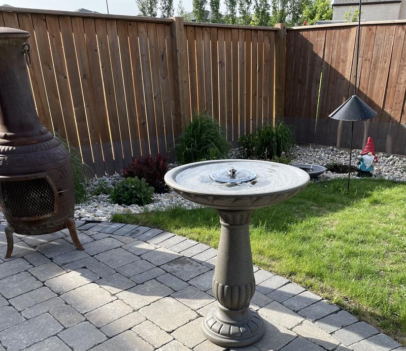 Photo - commentaire&nbsp;8.