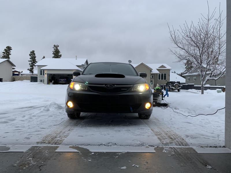 Yellow fog light bulbs