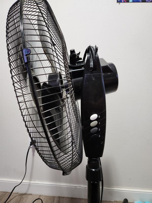 Photo - commentaire 6.