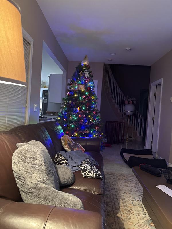 Photo - commentaire&nbsp;1.