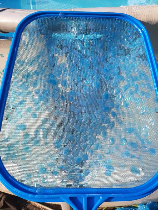 Skimmed from the surface