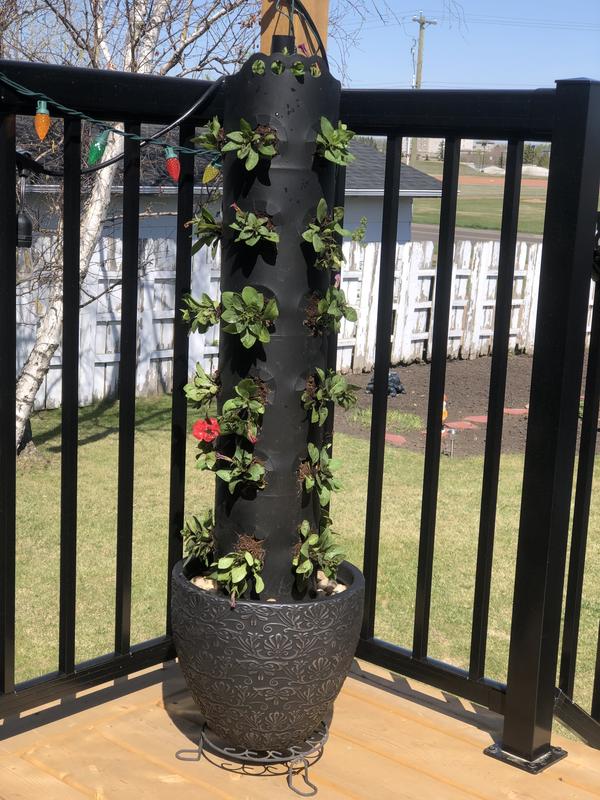 Photo - commentaire&nbsp;2.