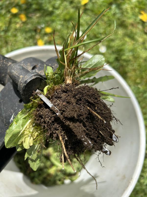 Photo - commentaire&nbsp;2.