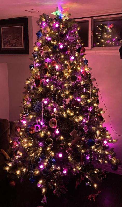 Little big for current space lol