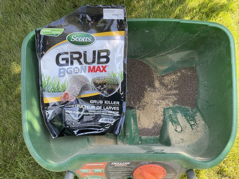 Taken toward the end of the application process